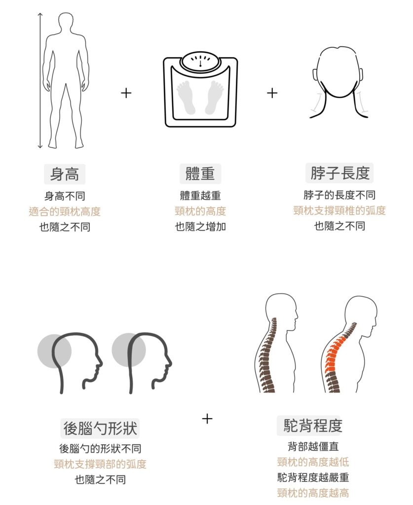 根據您的身高、體重、脖子長度、後腦勺形狀、駝背程度，決定您的枕頭