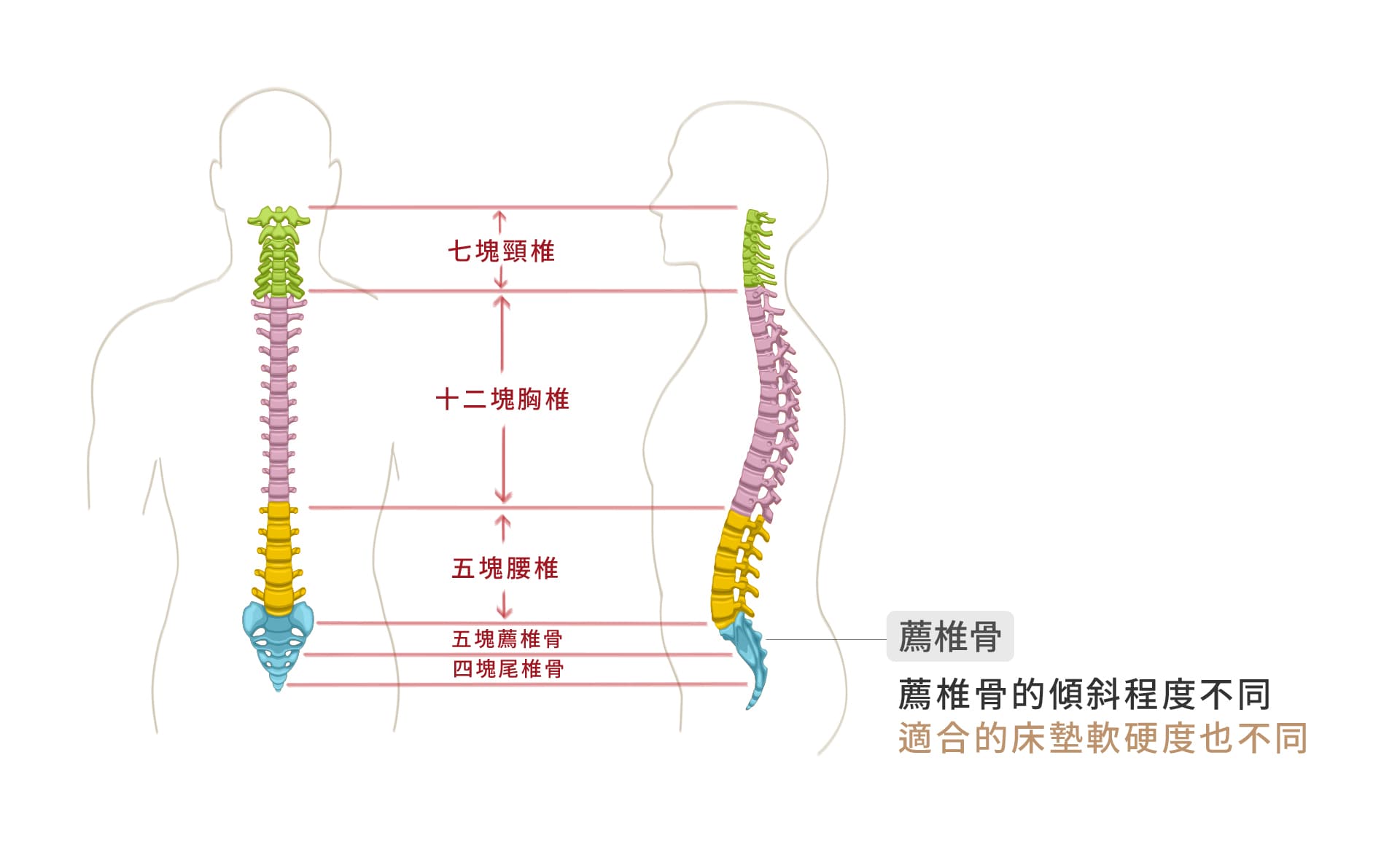 吉古金晶養生床墊【只要脊椎神經通,肩頸腰背不再痛】100%超完美貼合脊椎曲線,給您一夜好眠的養生床墊